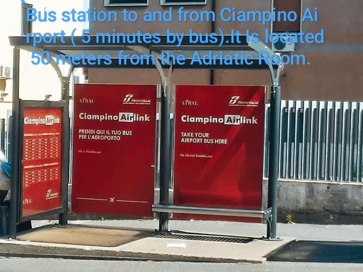 Adriatic Room 50 M Dalla Stazione Ferroviaria Di Ciampino E Dalla Navetta Aeroportuale Extérieur photo